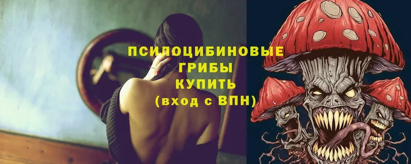 закладка  Ессентуки  Галлюциногенные грибы Cubensis 